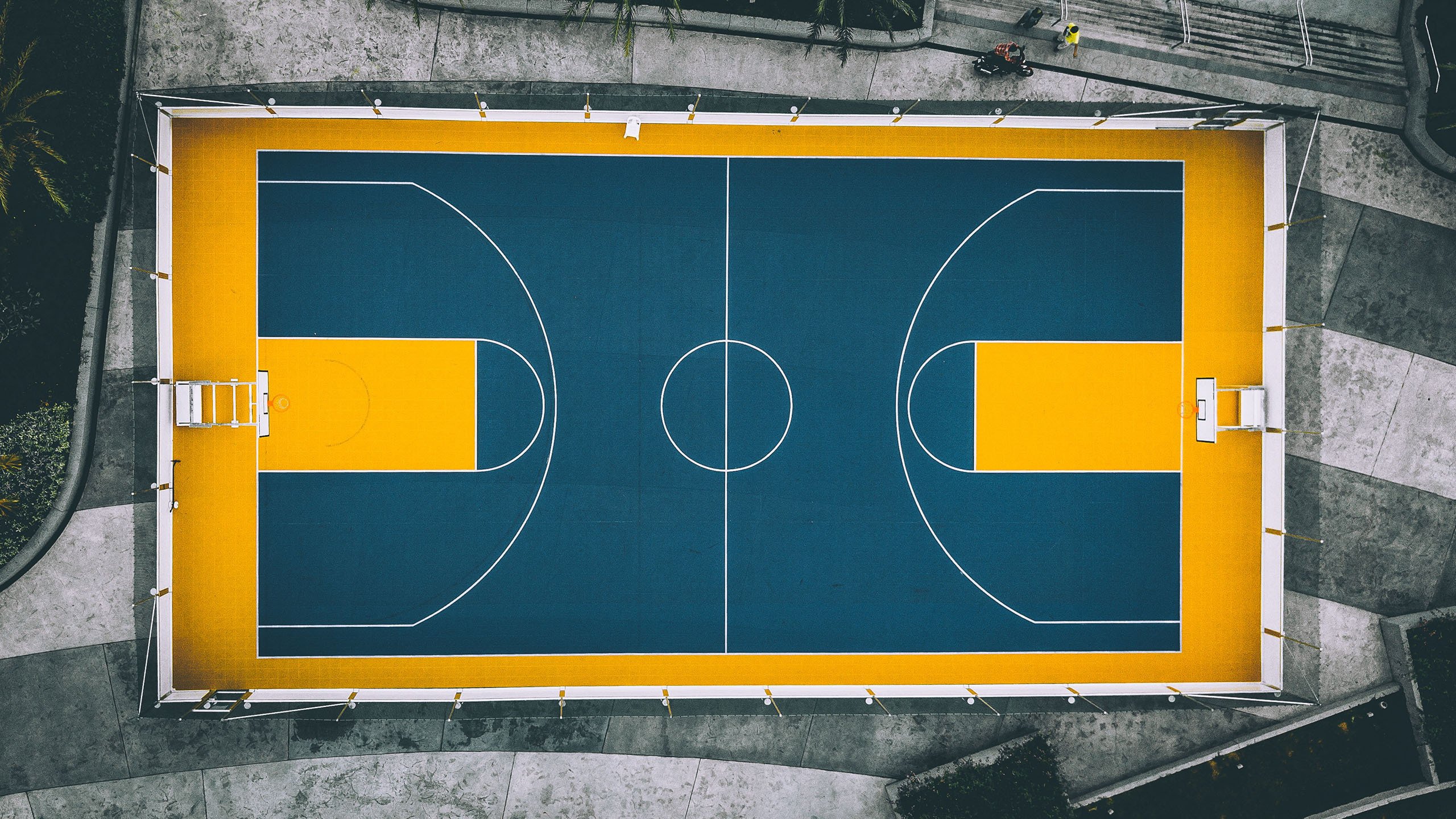 2026 NBA 季后赛场边名流:盘点 2026 总决赛现场的娱乐巨星。,nba总决赛g6预测